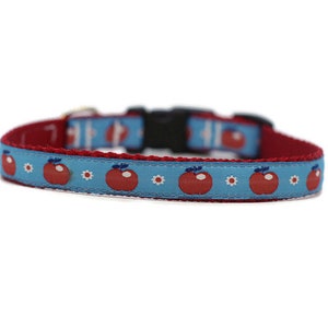 5/8 or 3/4 Inch Wide Dog Collar with Adjustable Buckle or Martingale in Apples