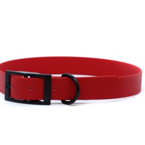 1&quot; Wide Biothane Tongue Buckle Collar with black buckle