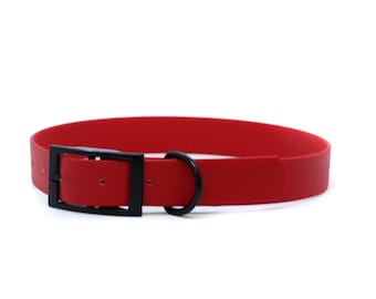 2,5 cm brett Biothane-halsband med tungspänne och svart spänne