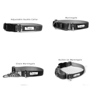 1 Inch Wide Dog Collar with Adjustable Buckle or Martingale in Lobsters an Exclusive Design image 5