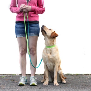 Biothane Leash  - 8 in 1 Convertible Leash Handsfree Leash