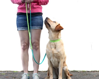 Biothane All Weather Leash  - 8 in 1 Convertible Leash Handsfree Leash