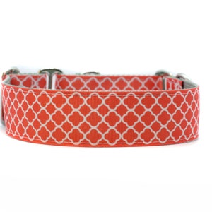 Wide 1 1/2 inch Adjustable Buckle or Martingale Dog Collar in Coral Sunrise