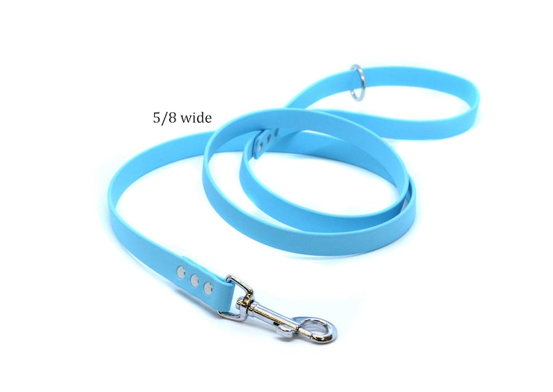 May include: A light blue dog leash with a silver clip and 5/8 inch width.