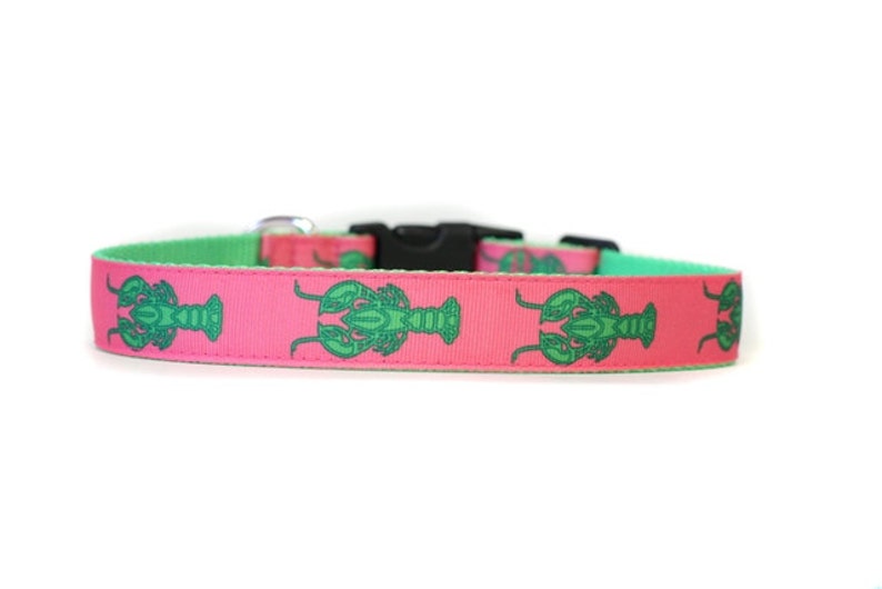 1 Inch Wide Dog Collar with Adjustable Buckle or Martingale in Lobsters an Exclusive Design image 4