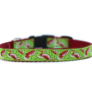 Op de afbeelding: Een hondenriem met een felgroene buitenkant met een patroon van rode watermeloenplakken. De binnenkant is effen rood van kleur. De halsband heeft een zwarte plastic gesp en een metalen lus.