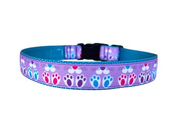 1 Inch Wide Dog Collar with Adjustable Buckle or Martingale in Bunny Feet