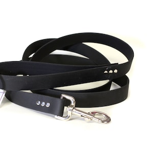 Biothane Leash - 1" Wide