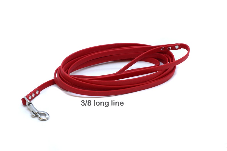 Biothane 3/8 Long Line Leash image 1