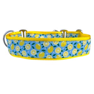 Collar para perro ancho de 1 1/2 pulgada con hebilla ajustable o martingala en color limones