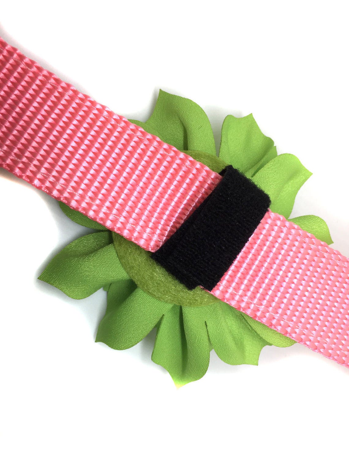 Large Collar Flower for Dog Collar Attaches With Hookandloop Etsy