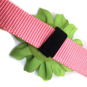 Large Collar Flower for Dog Collar attaches with hook-and-loop fastener image 4