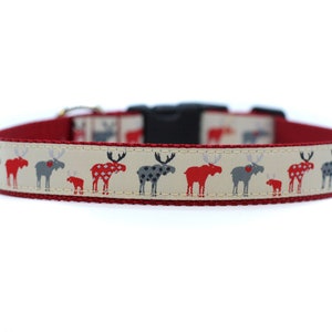 1 Inch Wide Dog Collar with Adjustable Buckle or Martingale in Moose