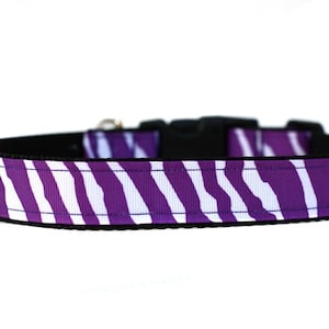 1 Inch Wide Dog Collar with Adjustable Buckle or Martingale in Zebra