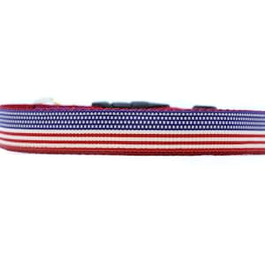1 Inch Wide Dog Collar with Adjustable Buckle or Martingale in American Flag