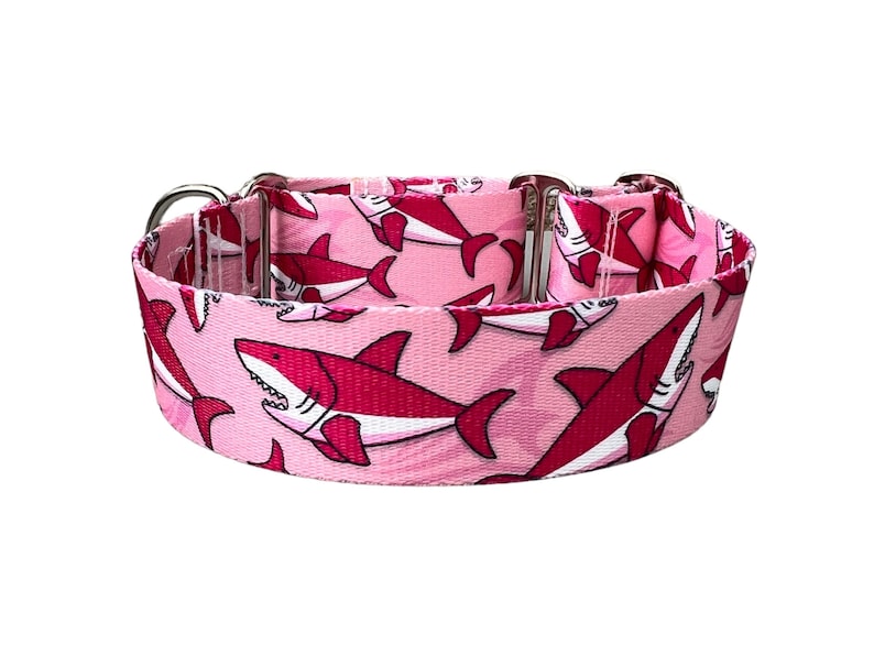 Wide 1 1/2 inch Adjustable Buckle or Martingale Dog Collar in Sharks image 1