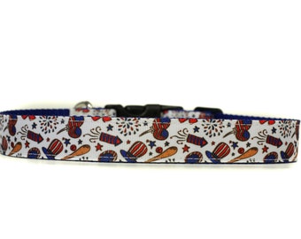 1 Inch Wide Dog Collar with Adjustable Buckle or Martingale in 4th of July Celebration