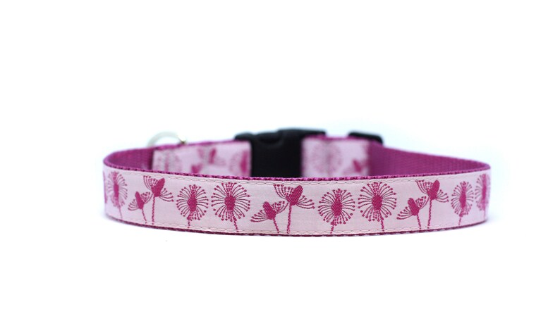 1 Inch Wide Dog Collar with Adjustable Buckle or Martingale in Dandelion Wish image 1