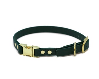 3/4" Biothane Tongue Buckle with Quick Release Buckle Collar with brass hardware