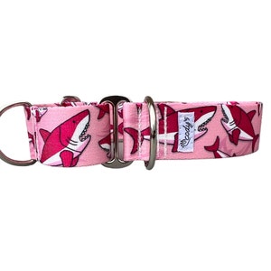 Wide 1 1/2 inch Adjustable Buckle or Martingale Dog Collar in Sharks image 2