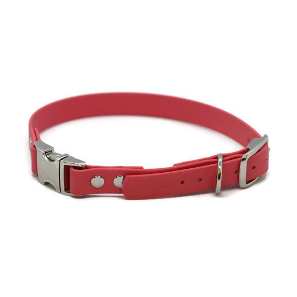 3/4" Biothane Tongue Buckle with Quick Release Buckle Collar with silver hardware