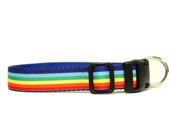1 Inch Wide Dog Collar with Adjustable Buckle or Martingale in Rainbow Stripes