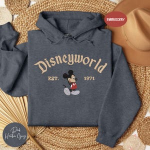 A gray hoodie with the text "Disneyworld EST. 1971" and a Mickey Mouse graphic, along with a straw hat and woven mat, are displayed in the image.