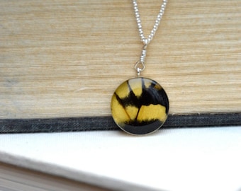 Real butterfly wing set in sterling silver bezel under resin on long sterling necklace. Nature jewelry, butterfly jewelry