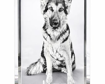 Cristal conmemorativo personalizado para perros / Foto de perro grabada en 3D / Recuerdo personalizado para recordar a tu mascota fallecida / Base de luz LED INCLUIDA