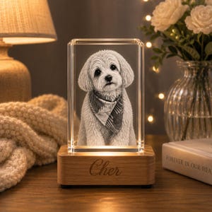 May include: A rectangular glass block featuring a laser-etched portrait of a fluffy dog wearing a patterned bandana. The glass block sits on a light-colored wooden base with the name Cher engraved in a cursive script on the front panel.