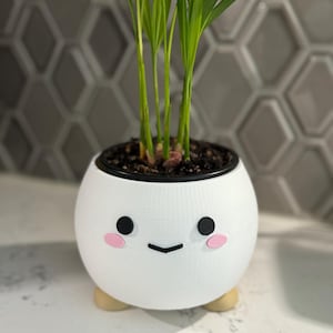 Peut inclure: Pot en céramique blanche avec un visage de dessin animé mignon, des joues roses et des yeux noirs. Le pot a trois pieds en bois et est rempli d'une petite plante verte.