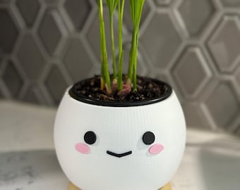 Alegre maceta kawaii: divertida maceta para suculentas para el hogar