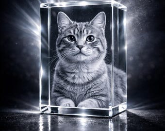 Cristal conmemorativo personalizado para gatos / Foto de gato grabada en 3D / Recuerdo personalizado para recordar a tu mascota fallecida / Base con luz LED incluida