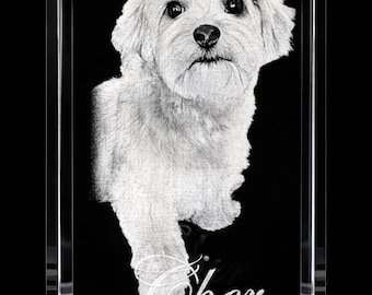 Cristallo personalizzato per animali domestici – Foto ricordo personalizzata di cane o gatto incisa al laser in 3D – Regalo di condoglianze per la perdita di un animale domestico / Base luminosa INCLUSA