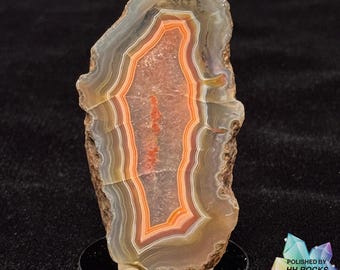 Orange Banded Malawi Agate Slice - Hand Polished