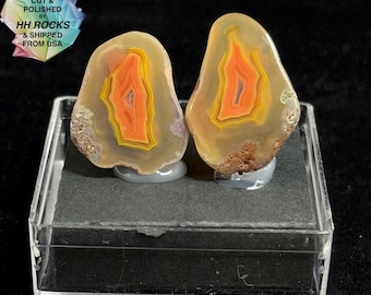 African Malawi Agate Pair - Cut and Polished in Colorado - 25-337