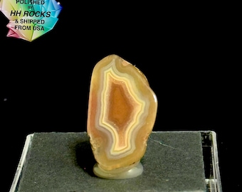 Malawi Agate Specimen from Africa - Cut and Polished in Colorado - 25-342