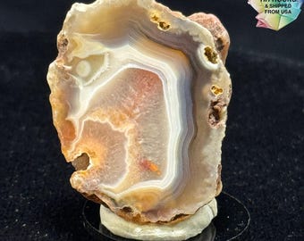 Sweet Little Malawi Agate for A Deal! 25-231