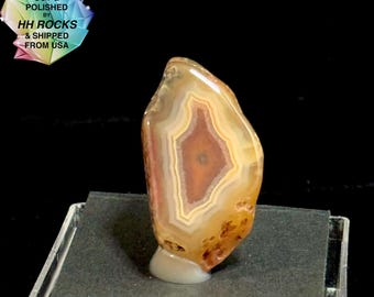 Malawi Agate Specimen from Africa - Cut and Polished in Colorado - 25-344