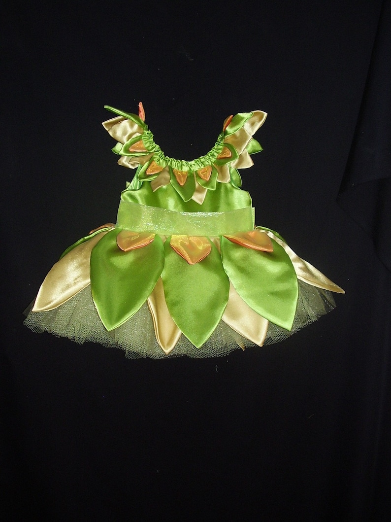 Fairy Dress Tutu Style Toddler Sizes image 4