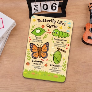 Schmetterling-Lebenszyklus Holzpuzzle - Montessori-Lernspielzeug für Kleinkinder, Vorschul-Lernbrett für Natur- und Wissenschaftsspaß