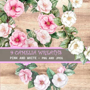 Coroas em rosa e branco, flores clipart, imagens de impressão instantânea para diários de lixo, álbuns de recortes, convites e projetos de artesanato, PNG e JPEG