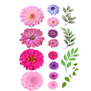 Clipart de flor única em rosa e vermelho, flores grandes e pequenas, adesivos decorativos e cartões, vários tons de cores complementares