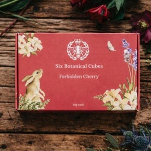 Op de afbeelding: Een rode doos met de tekst "Six Botanical Cubes Forbidden Cherry" en bloemen- en konijnenillustraties. De doos is omgeven door bloemen en groen op een houten oppervlak.