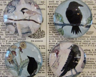 Blackbird Handcrafted Magnet - Refrigerator Magnet Set - Bird Art - Original Crow Art - Raven Glass Magnet - Set of Four - Rare Earth Magnet