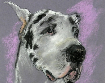 Harlequin Great Dane Original Dog Art Pastel Drawing Framed and Matted by Cori Solomon