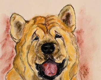 Chow Chow Dog Art Origninal Pastel Drawing By Cori Solomon