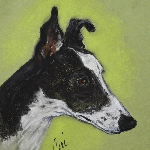 Greyhound Dog Art Original Pastel Drawing By Cori Solomon