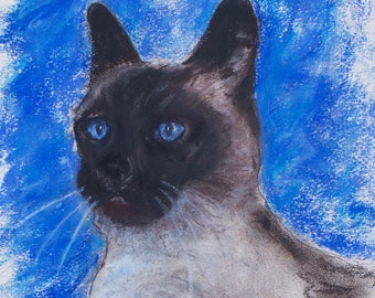 Seal Point Siamese Cat Art Original Pastel Drawing By Cori Solomon