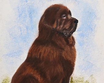 Newfy Newfoundland Dog Art Pastel Drawing By Cori Solomon